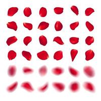 template of red rose petal of different shape isolated on white background. Realistic volumetric blurred burgundy petals. Blur effect illustration. vector