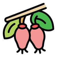 Branch with two ripe rose hips and green leaves icon vector