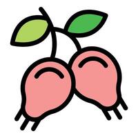 Two rose apples hanging from branch with green leaves icon vector