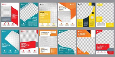 bundle flyer design template different color vector