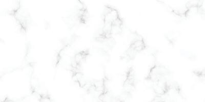 Seamless White Marble Surface with Natural Patterns vector