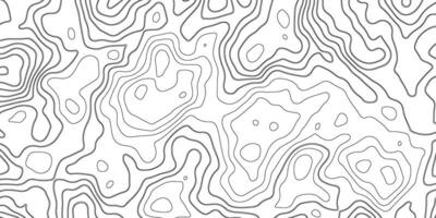 Topographic Contour Line Pattern vector