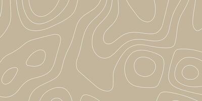 Abstract Topographic Map Background vector