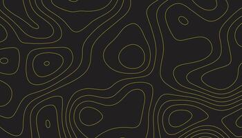 Dark Topographic Map Background with Gold Contour Lines vector
