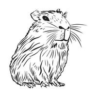 Funny capybara in flat design. South American adorable animals in linear style. vector