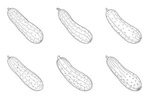 Cucumber Outline Icon Set vector