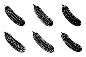 Minimalistic Cucumber Silhouette Icons in Flat Style vector