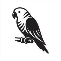 Parrot Birds Symbol Icon Design On White Background vector