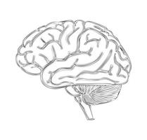 Cortex in Simple Strokes vector