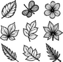 Black Leaf Silhouette Pack for Logos, Stickers, and Graphic Design vector