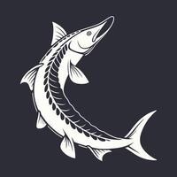 A White Sturgeon fish with a long tail on a black background vector