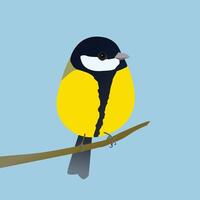 A great tit songbird sitting on a branch vector