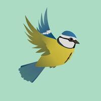 Flying blue tit bird on a light green background vector