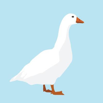 An illustration of a white goose on a blue background