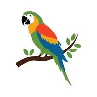 A striking macaw illustration capturing its distinctive long tail and bold posture, radiating exotic charm on a white canvas. vector