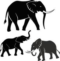 Elephant Silhouette, Elephant Isolated White Background vector