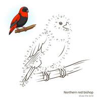 Northern red bishop learn birds educational game learn to draw illustration vector