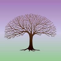 Broad round tree in winter A broad tree in winter without any leafs. vector