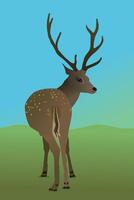 An illustration of a deer in the field. You see the animal from its behind and it looks backwards at you. vector