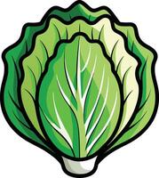 Crisp and Fresh Lettuce vector