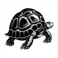 Silhouette of a turtle standing on a white background vector