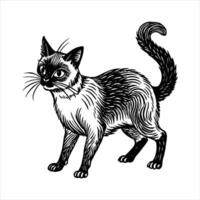Side view of cat on the wall at the farm. vector