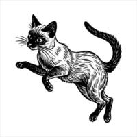 A cat running on white background. vector