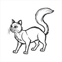 Cornish rex cat on white background vector