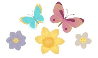 Set of butterflies and flowers isolated on white background. Beautiful flying insects. Spring daffodils and geocynths. vector