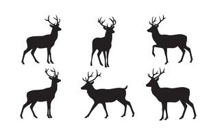 Buck Head Graphics for Wildlife Enthusiasts vector