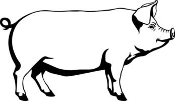 black stencil or silhouette of a pig without background vector