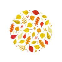 Bright Autumn Leaves of Various Forest Trees Seamless Pattern of Round Shape Illustration vector