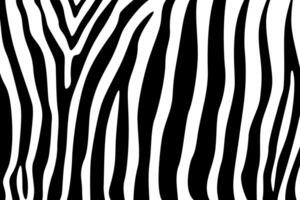 abstract zebra line leather skin illustration design background art 4 vector