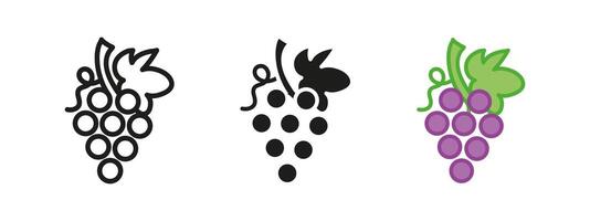 Grape icon. Grape bunch with leaf illustration. Vine symbol. Wine or grapevine sign. Grape juice pictogram. Beery fruit winery logo. Ripe violet grape berries concept isolated outline and black vector