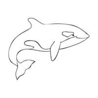 contour of Killer whale or Orcinus orca. Linear Wild inhabitants of the seas and oceans of the Arctic. Hand drawn outline illustration. Undersea mammal animal image in monochrome vector