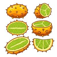 Several horned melons in different positions, along with some cut into various pieces. vector