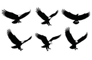 Commanding the Sky A Majestic Eagle in Action vector