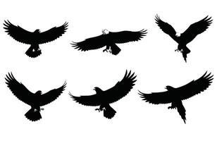 King the Sky An Eagle in Motion vector