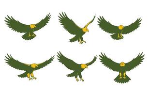 Fast Moving Eagle with Intimidating Presence vector