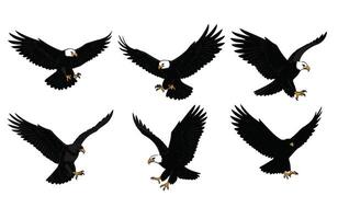 Wild and Free the Strength of an Eagle vector