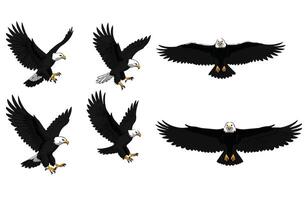 Fierce Predator An Eagle Attacking from Above vector