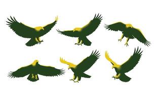Predatory Eagle in a Stunning Flight Pose vector
