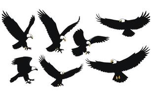 The Ultimate Hunter A Soaring Eagle vector