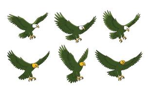 Supreme Aerial Predator with Sharp Talons vector