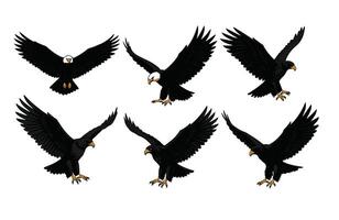 Stunning Eagle in Mid-Air with Open Wings vector