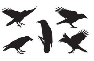 Crows in Flight Silhouette Set for Motion Effects vector