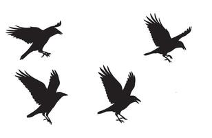Crow Silhouette Set for Print Digital Projects vector