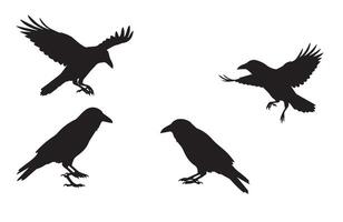 Edgy Crow Silhouette Set for Bold Graphics vector