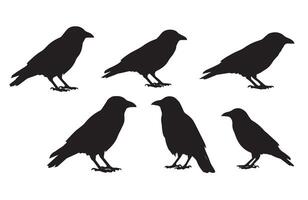 Striking Crow Silhouette Set for Eye-Catching Graphics vector
