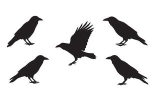 Smooth Clean Crow Silhouette Set for Minimalists vector